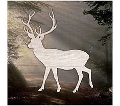 a white deer standing in the middle of a forest with sun shining through it's antlers