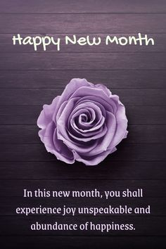 a purple rose with the words happy new month