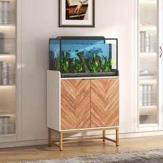 a fish tank sitting on top of a wooden cabinet