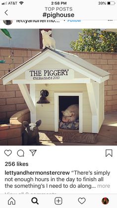 an instagramted photo of a dog house with a baby in it