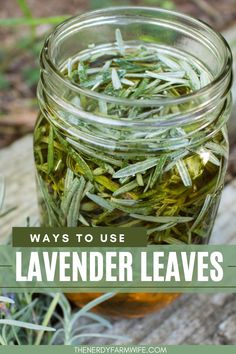 a jar filled with lavender leaves sitting on top of a wooden table