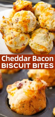 cheddar bacon biscuit bites in a muffin tin with text overlay