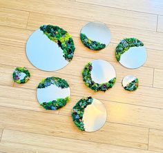 several mirrors are arranged in the shape of trees and bushes on a wooden floor with white circles around them