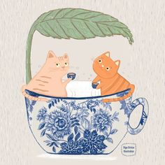 two cats are sitting in a teacup