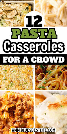 A collection of pasta casserole recipes. Easy Large Group Meals, Chicken Alfredo Ravioli, Casseroles For A Crowd, Alfredo Ravioli, Easy Baked Pasta, Saucy Pasta, Beef And Pasta, Baked Pasta Casserole, Pasta Casseroles