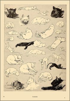 an old black and white drawing of cats laying on top of each other in different positions