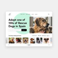 the website for adopt one of 100 rescue dogs in spain