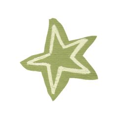 a green and white star on a white background