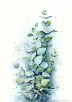 a watercolor painting of a plant with green leaves