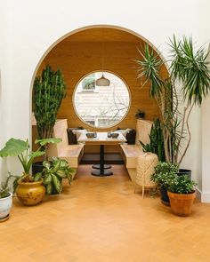 a living room filled with lots of potted plants