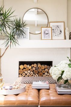 a living room filled with furniture and a fire place next to a plant on top of a table