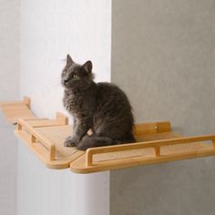 a gray cat sitting on top of a wooden shelf next to a wall with white walls