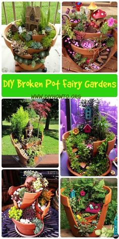 a collage of photos showing different types of potted plants