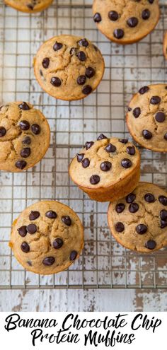 chocolate chip muffins cooling on a wire rack