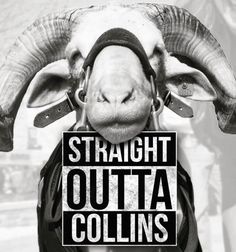 a black and white photo of a goat with the words straight outa collins on it