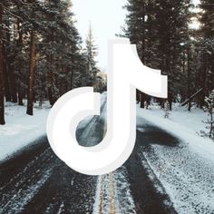 a road in the middle of a forest with trees and snow on it that says pi