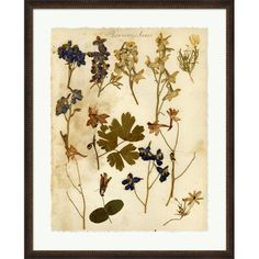 an old framed print with blue and yellow flowers on it's left hand side