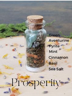 Prosperity spell jar photo with labels of what is inside- green aventurine, pyrite, mint, Cinnamon, Basil, sea salt Spell Jar Ideas, Prosperity Spell Jar, Bottle Spells, Intention Jars, Magic Jar, Witch Bottle, Wicca Recipes, Spell Bottles, Spells Magic