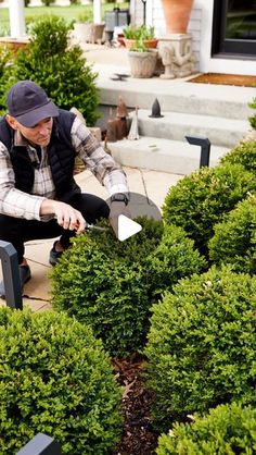 a man kneeling down in front of some bushes