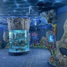 an aquarium with fish and corals in it