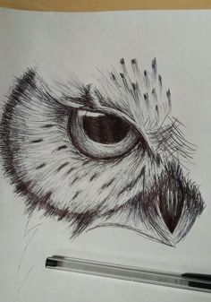 a pencil drawing of an owl's eye on paper with a pen next to it