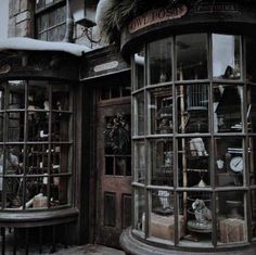 an old fashioned store front with lots of birds in the windows and snow on the ground