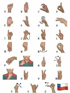 Chile Sign Languages, British Sign Language, Language Families, Deaf Culture