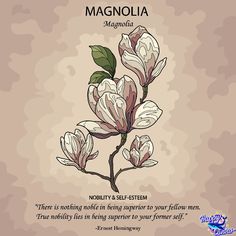 a flower with the words magnania and an image of two white flowers on it