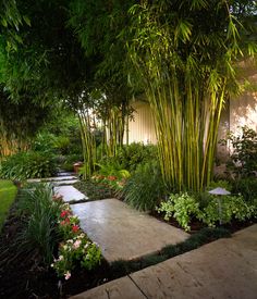 an outdoor garden with lots of plants and flowers in it, including bamboo trees on the side