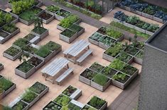 an aerial view of a garden with many different plants and benches in the middle of it