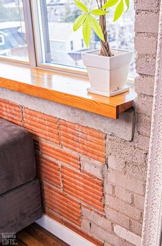 a potted plant sitting on top of a window sill