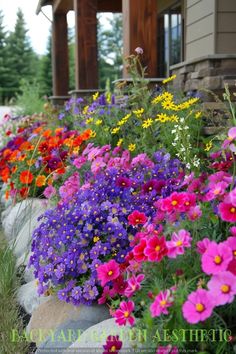 colorful flowers line the side of a house