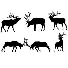 six silhouettes of deer and elk with antlers on their backs, facing different directions