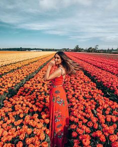 a woman standing in a field of orange flowers