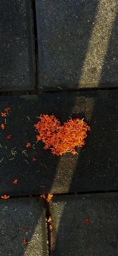 an orange piece of food on the ground