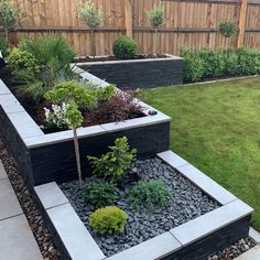 a garden with rocks and plants in it