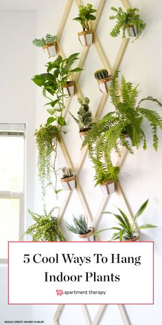 a wall mounted planter with plants on it and the words, 5 cool ways to hang indoor plants