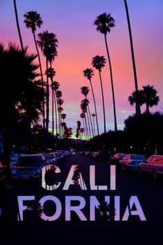 cars parked on the side of a road with palm trees in the background at sunset