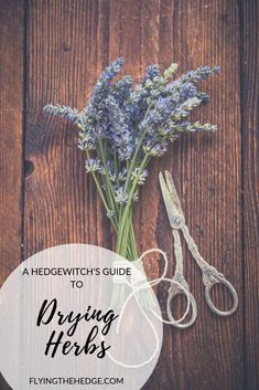 a bunch of lavender flowers sitting on top of a wooden table with scissors and thread