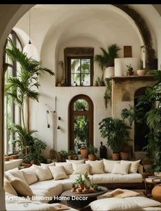 a living room filled with lots of furniture and plants on the windows sills