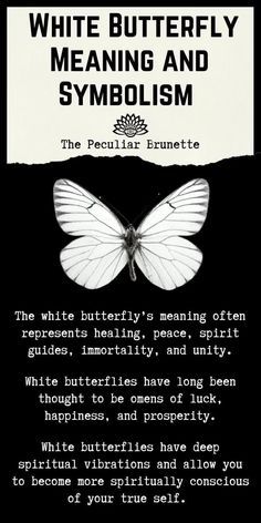 Madussa Meaning, Different Butterflies And Their Meanings, White Butterflies Meaning, White Butterfly Spiritual Meaning, White Butterfly Meaning, Butterfly Meaning Spiritual, Butterfly Spiritual Meaning, 4 Meaning, Butterfly Symbol