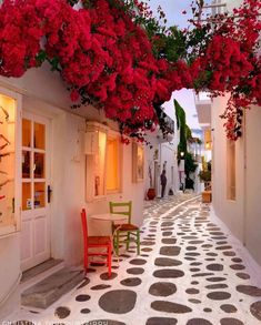 an alley with red flowers growing over it and chairs on the sidewalk next to each other