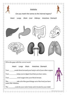 the human body worksheet is shown with pictures and information for each part of the body