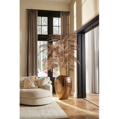 a living room filled with furniture and a large potted plant in front of a window