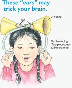 a drawing of a girl with her ears up and the words, these ears may trick your brain