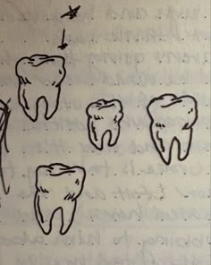 four different types of teeth drawn on a piece of paper