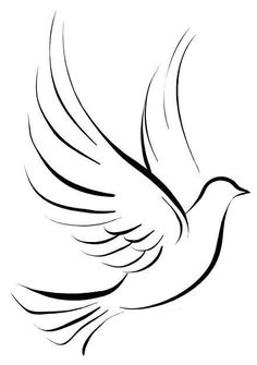 a black and white drawing of a bird with its wings spread out to the side