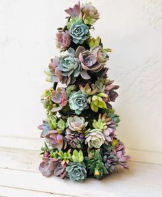 a small christmas tree made out of succulents