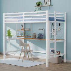 a loft bed with desk underneath it in a room that has blue walls and hardwood floors