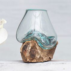 a glass vase sitting on top of a piece of driftwood next to a seashell